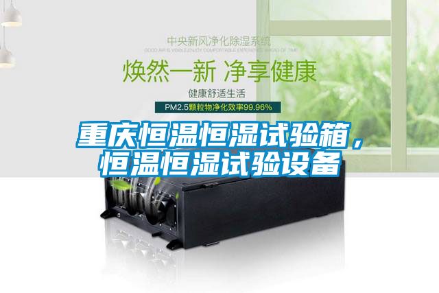 重慶恒溫恒濕試驗(yàn)箱，恒溫恒濕試驗(yàn)設(shè)備