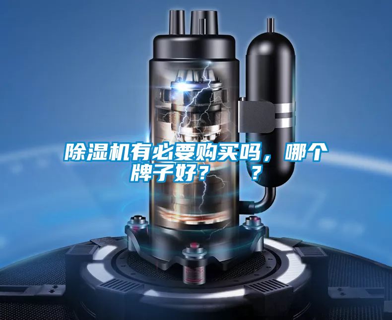 除濕機有必要購買嗎，哪個牌子好？  ？