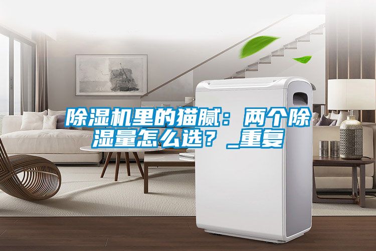 除濕機里的貓膩：兩個除濕量怎么選？_重復(fù)