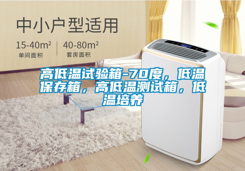 高低溫試驗箱-70度，低溫保存箱，高低溫測試箱，低溫培養
