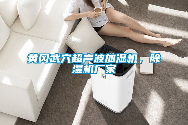 黃岡武穴超聲波加濕機，除濕機廠家