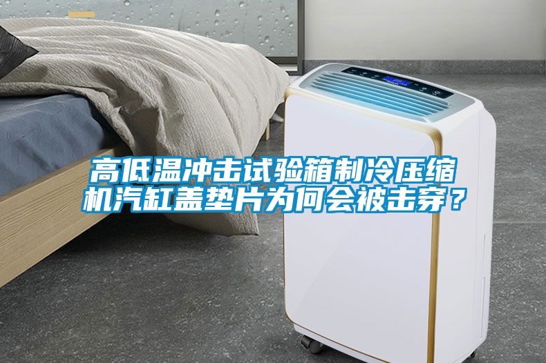 高低溫沖擊試驗箱制冷壓縮機汽缸蓋墊片為何會被擊穿？