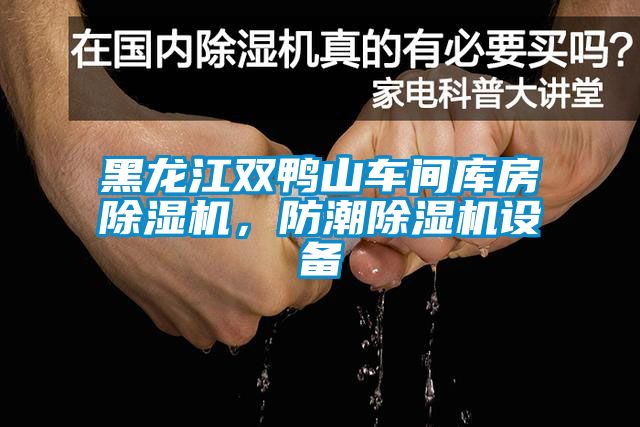 黑龍江雙鴨山車間庫房除濕機，防潮除濕機設備