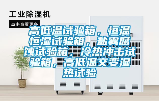 高低溫試驗箱，恒溫恒濕試驗箱，鹽霧腐蝕試驗箱，冷熱沖擊試驗箱，高低溫交變濕熱試驗