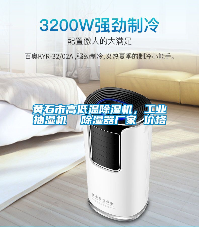 黃石市高低溫除濕機，工業抽濕機  除濕器廠家 價格