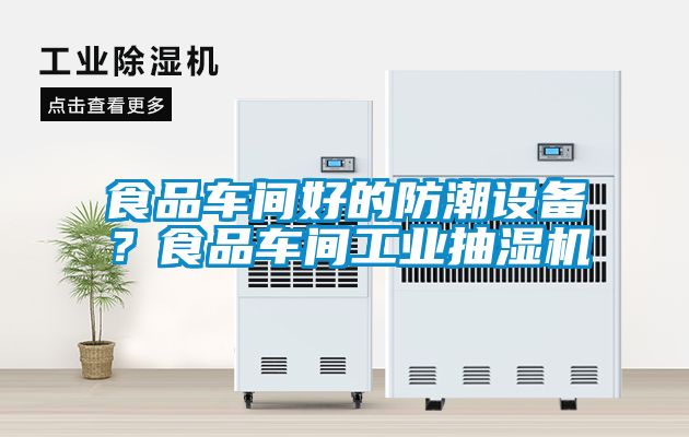 食品車間好的防潮設備？食品車間工業抽濕機